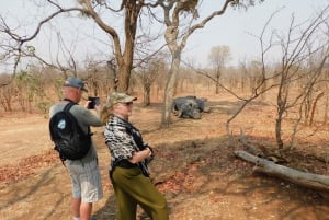 Livingstone: Game Drive and White Rhino Safari Short Walk