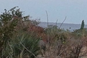 Livingstone : safari et visite culturelle