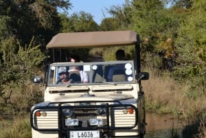 Livingstone: Game Drives & Rhino Walk