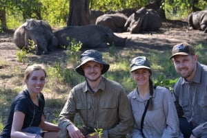 Livingstone: Game Drives & Rhino Walk