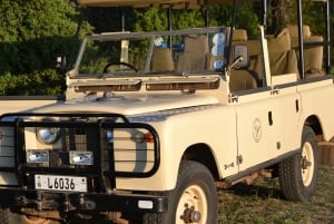 Livingstone: Game Drives & Rhino Walk