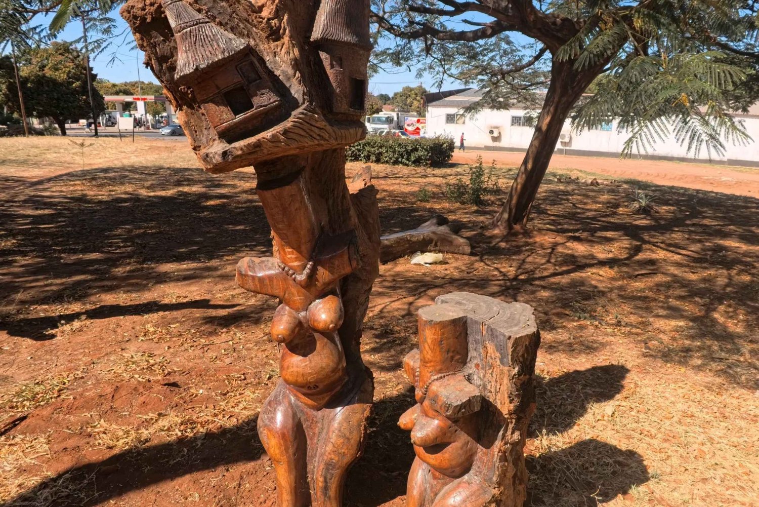 Livingstone : visite guidée à pied avec découverte des marchés locaux