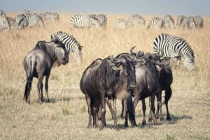 Livingstone: Półdniowa przygoda w Parku Narodowym Mosi-oa-Tunya