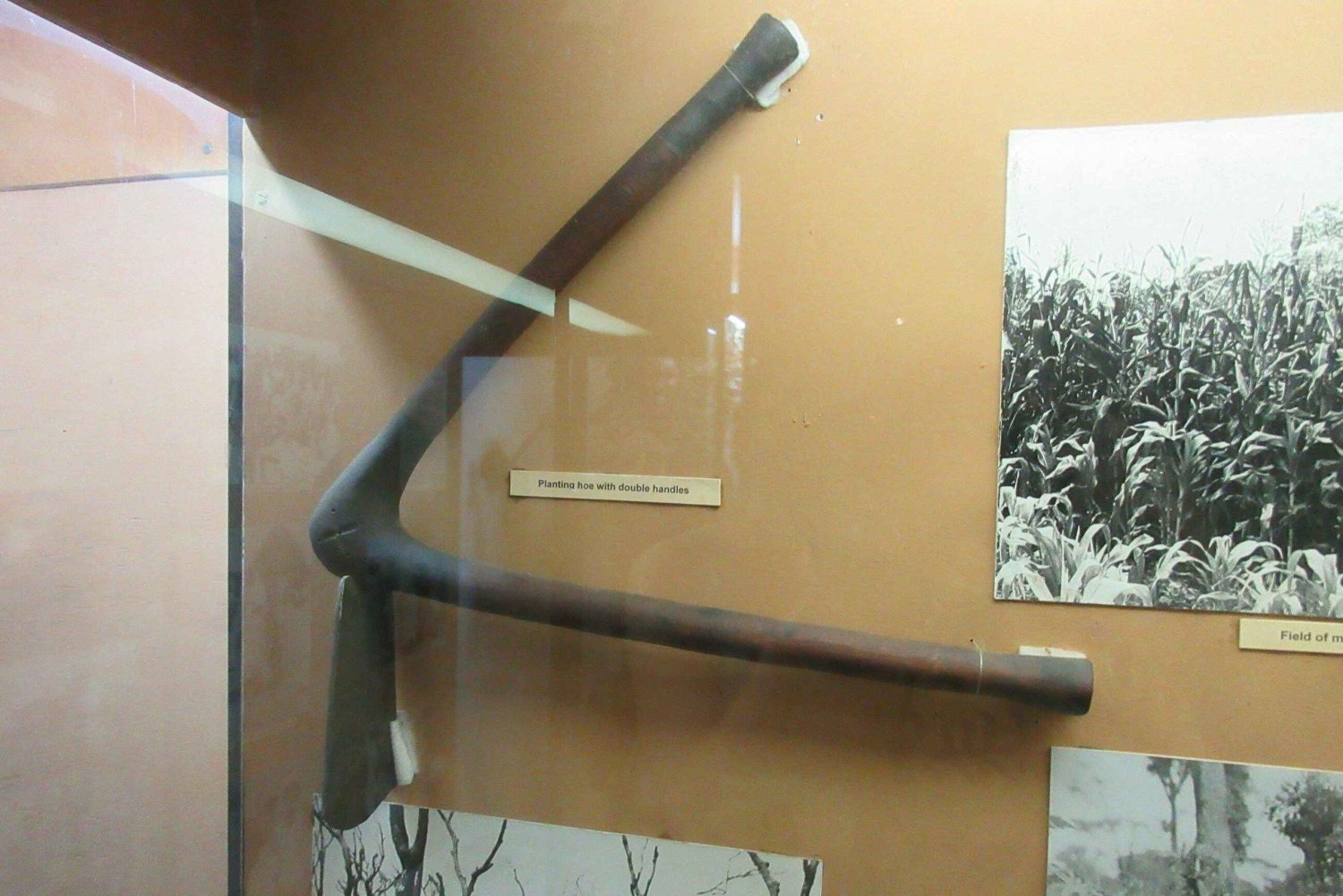 Livingstone: zwiedzanie Muzeum Livingstone i Kolei z przewodnikiem i odbiorem z hotelu