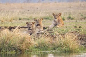 Livingstone: Lochinvar National Park Birdwatching Adventure