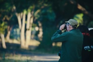 Livingstone: Mosi-oa-Tunya National Park Birdwatching Tour