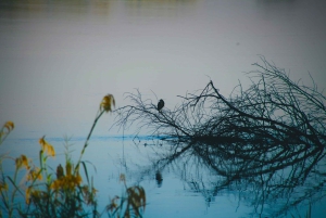 Ливингстон: экскурсия по национальному парку Моси-оа-Тунья
