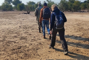 Livingstone: Mosi-oa-Tunya National Park Rhino Tracking Tour