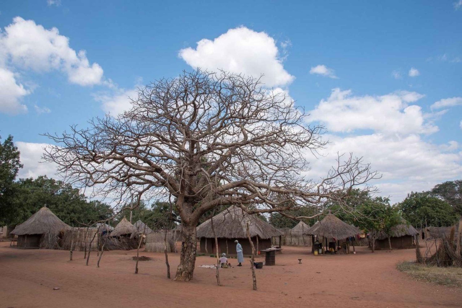 Livingstone: Mukuni-Dorf-Tour mit traditionellem Essen