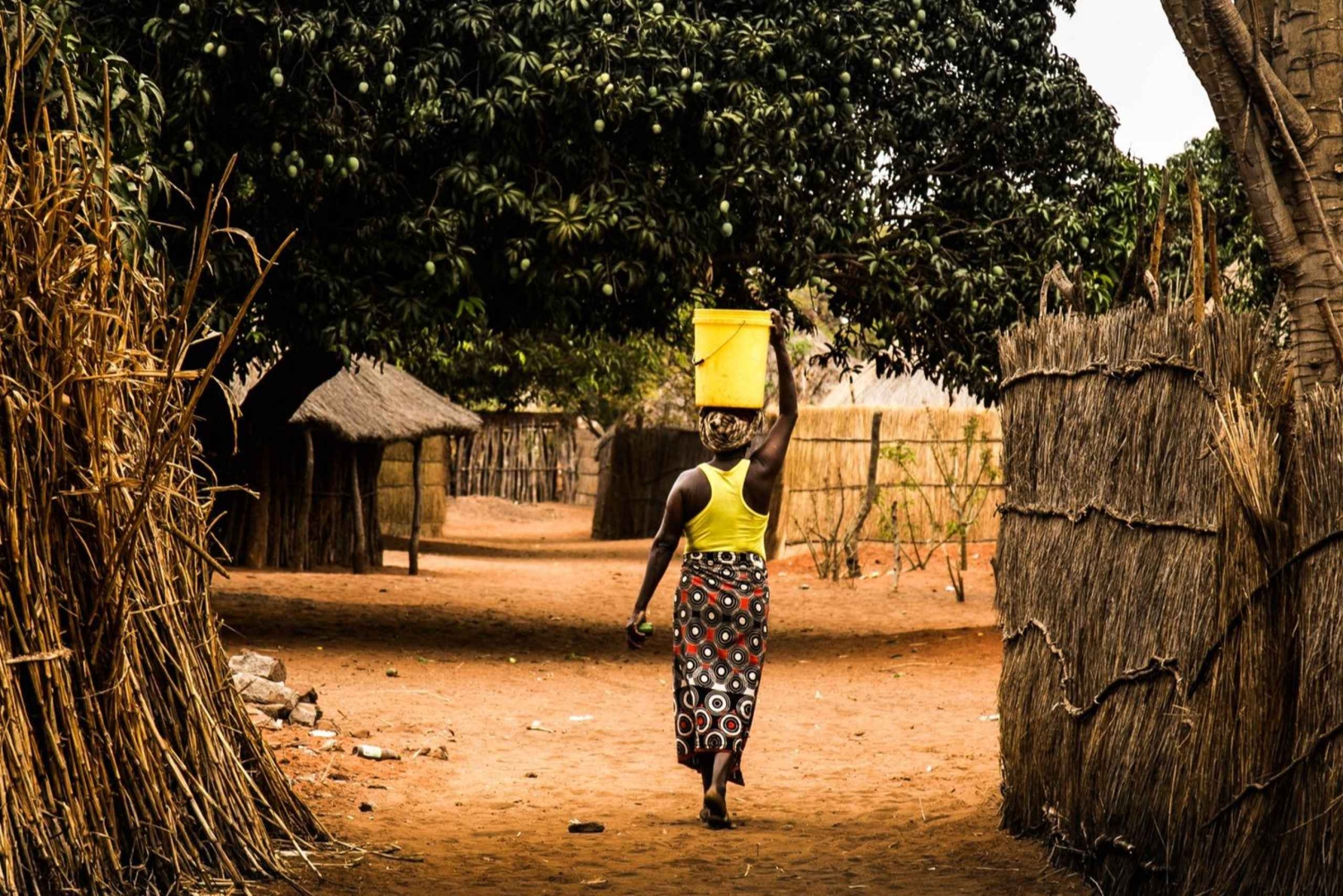 Livingstone: Mukuni Village Tour med traditionell måltid