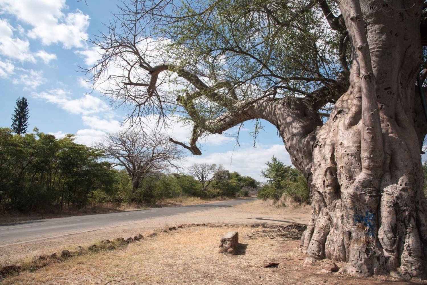Livingstone: Mukuni Village Tour med traditionell måltid