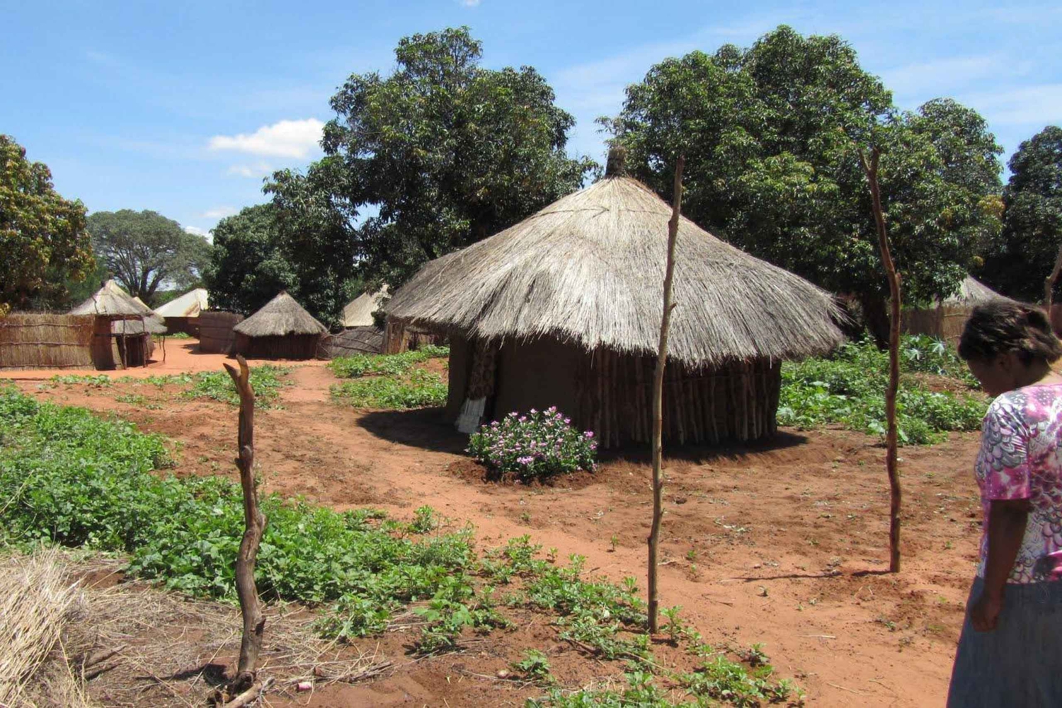 Livingstone: Mukuni Village Tour med traditionell måltid