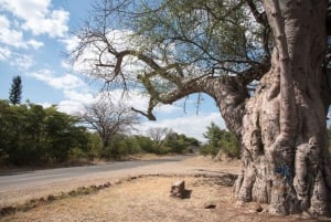 Livingstone: wycieczka do wioski Mukuni z tradycyjnym posiłkiem