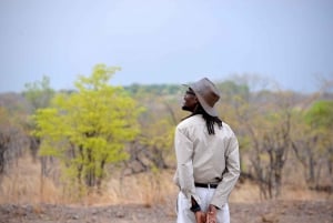 Livingstone National Park: Half-Day Bird Watching Tour
