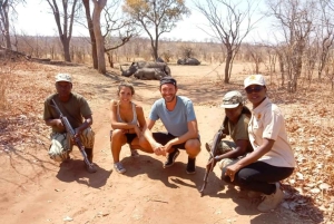 Encontro com rinocerontes em Livingstone e tour pelo património