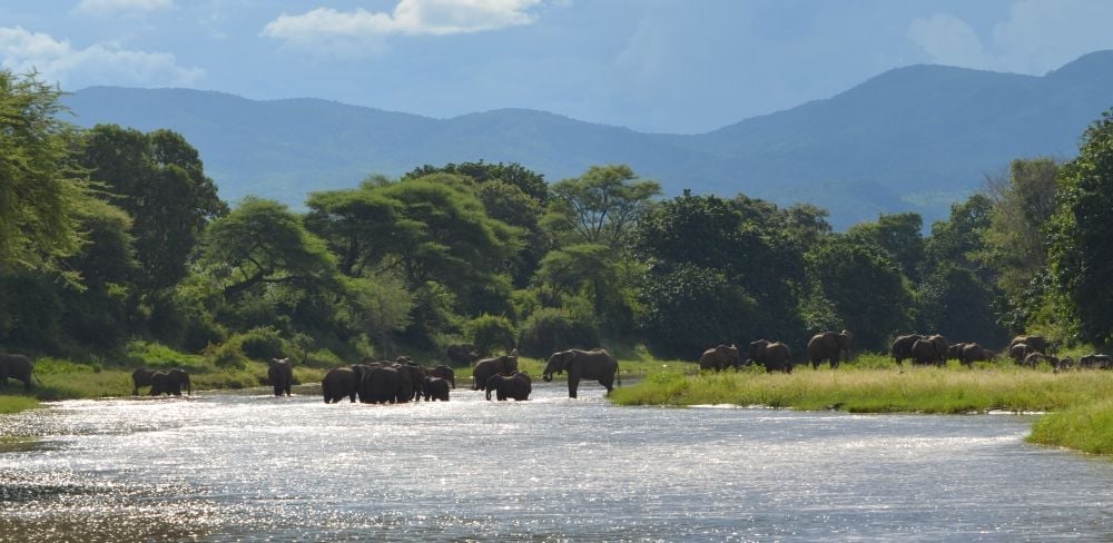 Lower Zambezi National Park