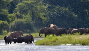 Lower Zambezi National Park