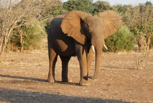 Lusaka: 5-Day Lower Zambezi Safari with Game Drives