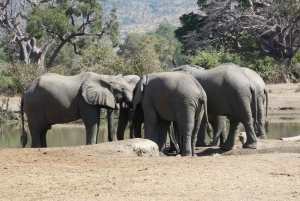 Lusaka: 5-Day Lower Zambezi Safari with Game Drives