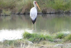 Lusaka: 5-Day Lower Zambezi Safari with Game Drives