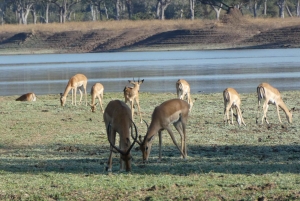 Lusaka: 5-Day Lower Zambezi Safari with Game Drives