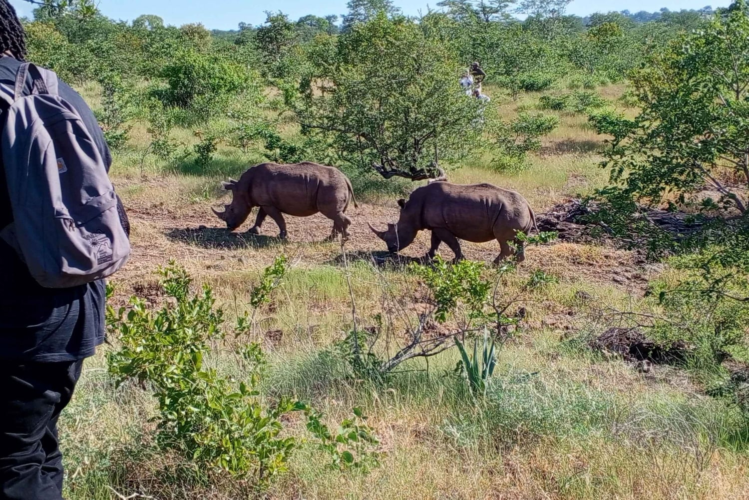 Mosi Oa Tunya Game drive