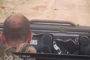 Mosi Oa Tunya Game drive