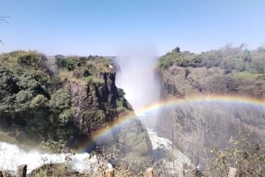 Traslados privados desde/hasta el Aeropuerto de las Cataratas Victoria