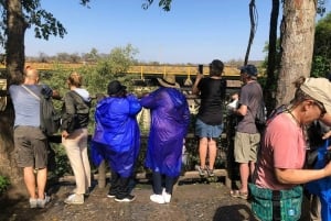 Private Guided Tour of the Victoria Falls: Zambia & Zimbabwe