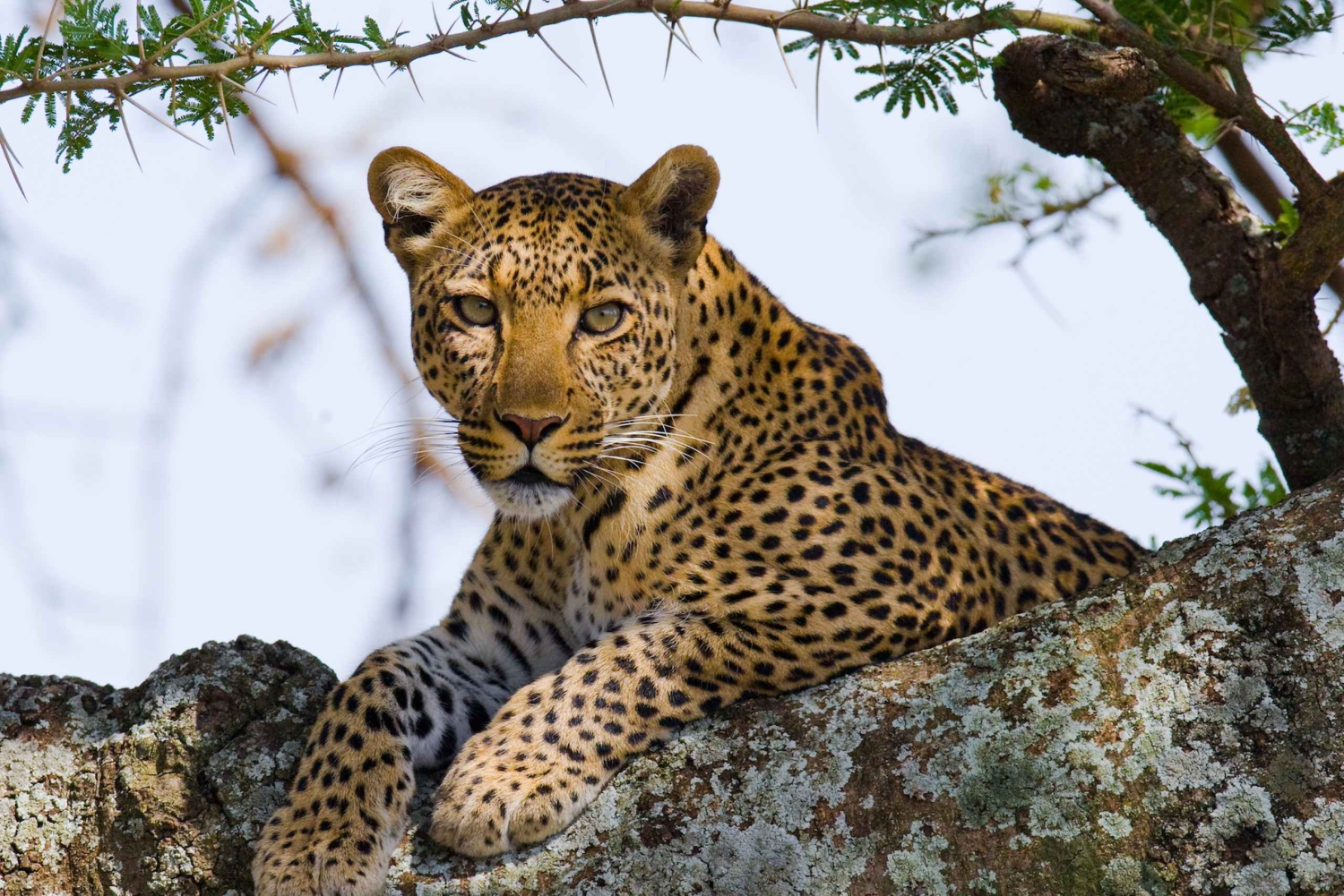 Aventura de 12 días de Sudáfrica a las Cataratas Victoria