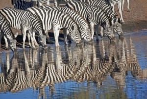 Aventura de 12 días de Sudáfrica a las Cataratas Victoria