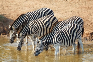 South Luangwa National Park: transferservice over land