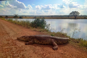 South Luangwa National Park: transferservice over land