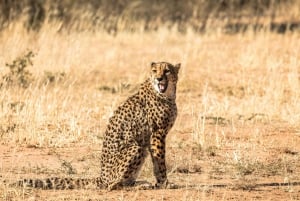 南ルアングワ国立公園：陸路送迎サービス