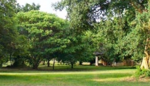 The Moorings Campsite