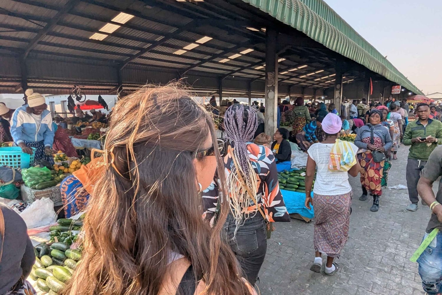 ルサカの究極の8時間：現地文化と孤児院の赤ちゃんゾウをご覧ください