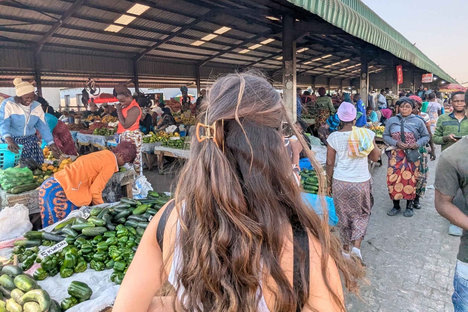 ルサカの究極の8時間：現地文化と孤児院の赤ちゃんゾウをご覧ください