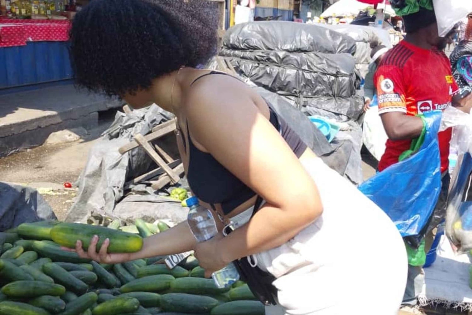 ルサカの究極の8時間：現地文化と孤児院の赤ちゃんゾウをご覧ください