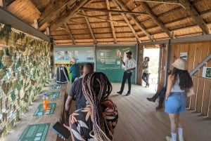 ルサカの究極の8時間：現地文化と孤児院の赤ちゃんゾウをご覧ください