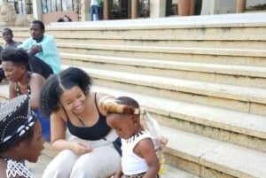 ルサカの究極の8時間：現地文化と孤児院の赤ちゃんゾウをご覧ください