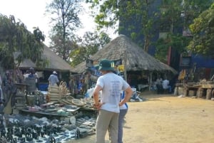 ルサカの究極の8時間：現地文化と孤児院の赤ちゃんゾウをご覧ください