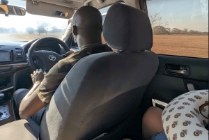 ルサカの究極の8時間：現地文化と孤児院の赤ちゃんゾウをご覧ください