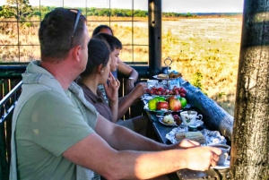 Unique BBQ/Braii + Game Drive in Chamabondo National Park