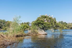 Flutuação de jangada no Alto Zambeze
