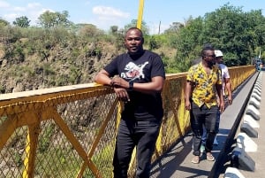 Vic Falls Day Trip - From Kasane