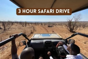 Victoria Falls: 3 Hour Safari Drive