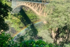 Victoria Falls: 3-i-1 guidet tur med brobesøg
