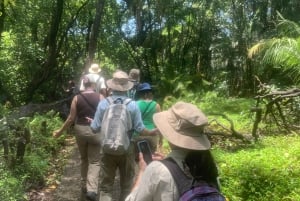 Victoria Falls: 3-i-1 guidet tur med brobesøg