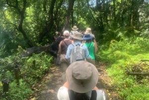 Victoria Falls: 3-i-1 guidet tur med brobesøg