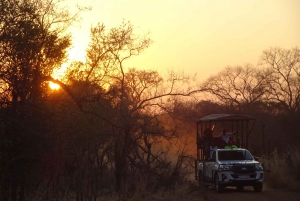 Victoria Falls: 4x4 Baobab Safari in National Park